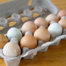 Eggs from our flock of laying hens